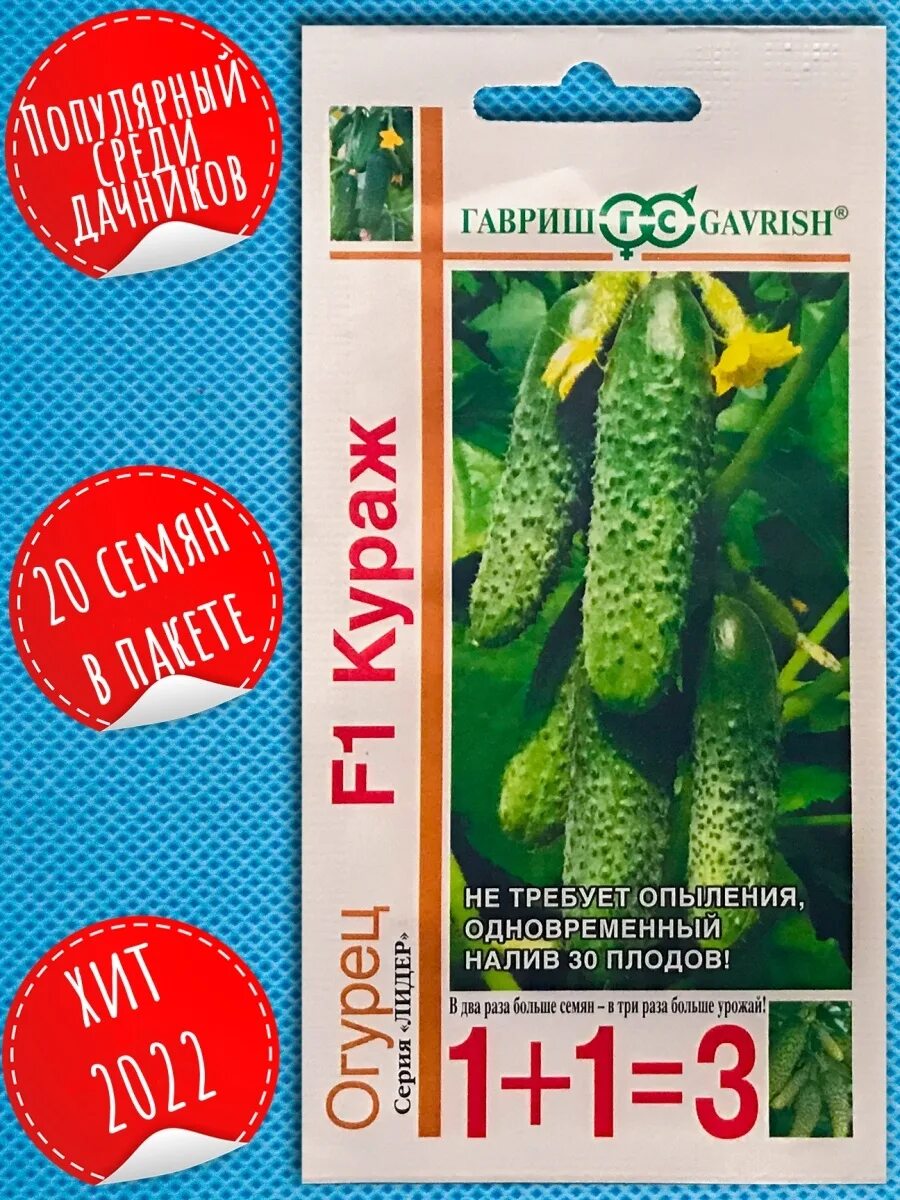 Огурцы кураж. Огурцы сорт кураж. Семена огурцов кураж гавриш. Гавриш огурец кураж f1. Семена огурец кураж f1.