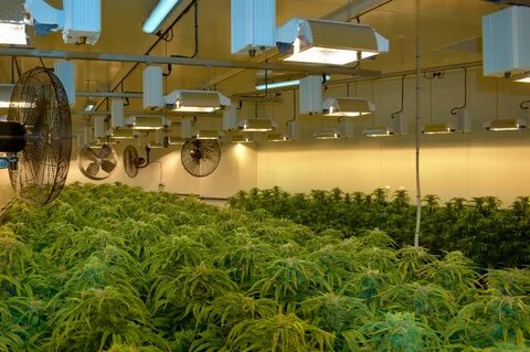 Plant facilities