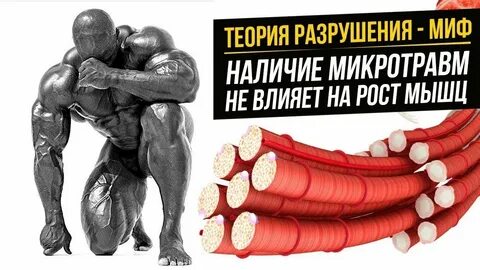 Разрушение мышц