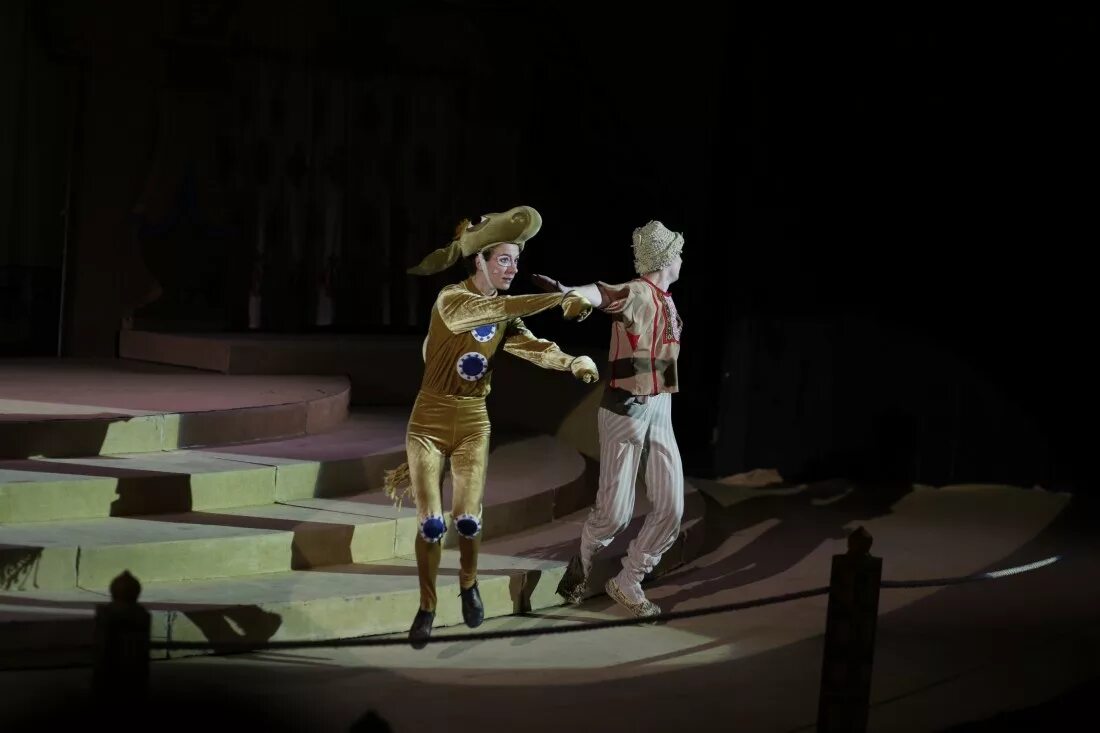 тюз санкт петербург отзывы. брянцева. спектакль «конек-горбунок» тюз им. а. тюз им брянцева конек горбунок.