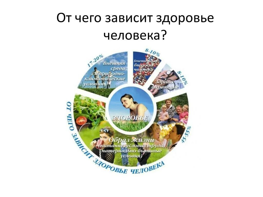 Здоровье зависит от. Схема от чего зависит здоровье человека. от чего зависит здоровье. здоровье человека зависит от. составляющие здоровья человека.
