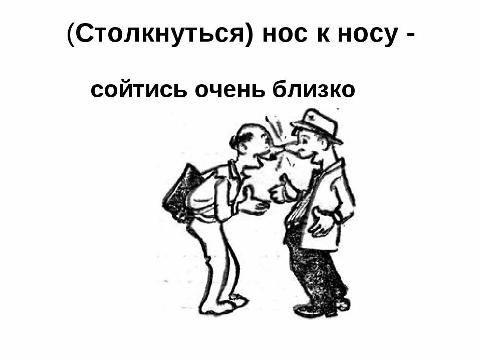 Фразеологизм я ненавидящим шепотом возразил. Нос к носу фразеологизм. Фразеологизмы про нос. Фразеологизмы со словом нос рисунки. Фразеологизмы в картинках.