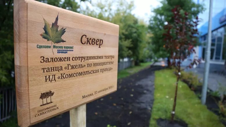 Дерево посажено в честь