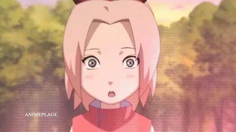 S sakura