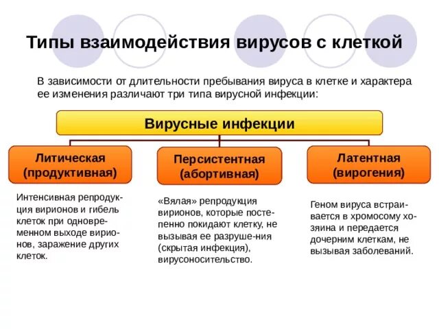 Стадии продуктивного типа взаимодействия вируса с клеткой. Абортивный Тип взаимодействия вируса. Этапы и типы взаимодействия вируса с клеткой. Типы взаимодействия вируса с клеткой.