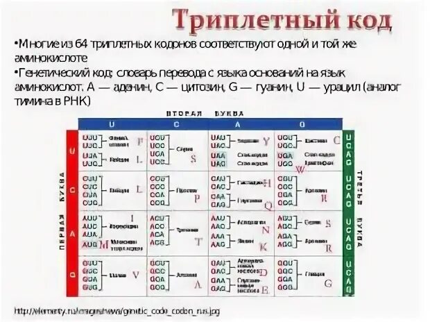 Коду 1 1 1 соответствует