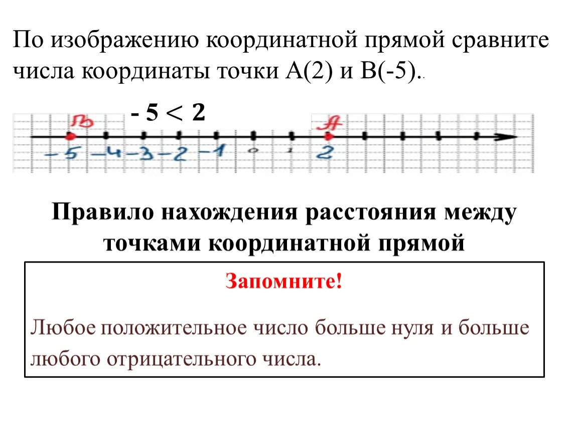 Прямая на координатной прямой. Точки на координатной прямой. Числа на координатной прямой 6 класс. Изображение чисел на координатной прямой.