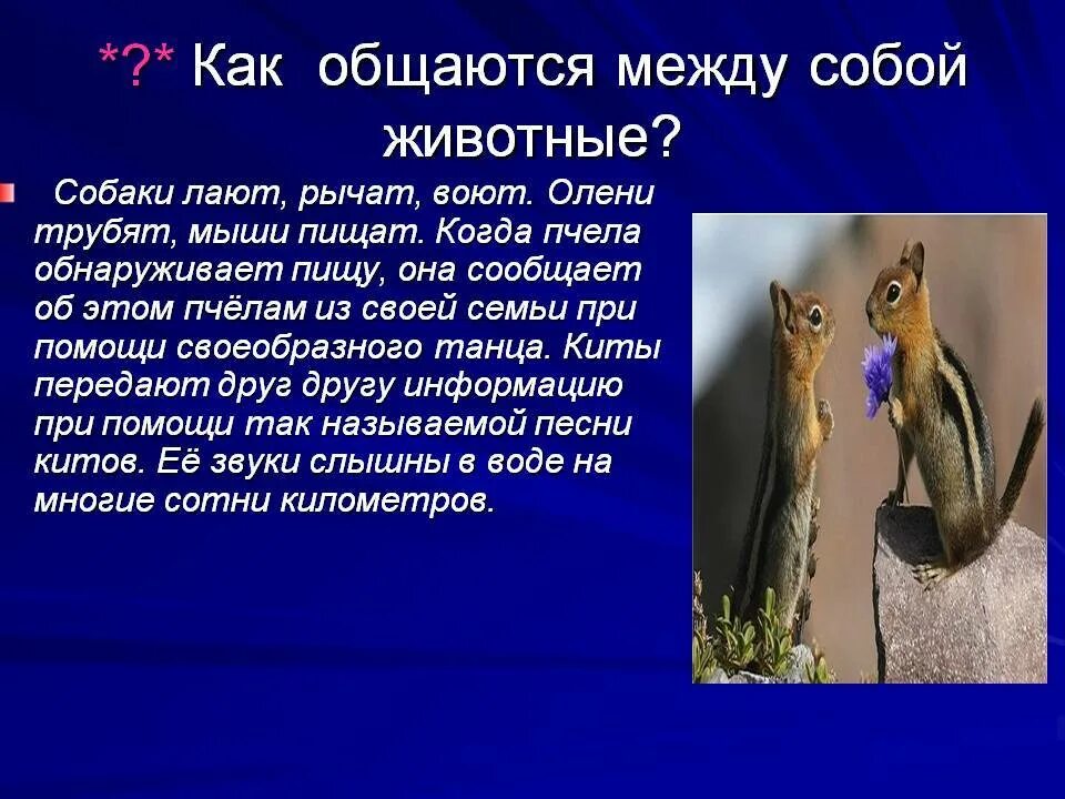 Привести примеры как животные общаются между собой "Как животные общаются между собой"