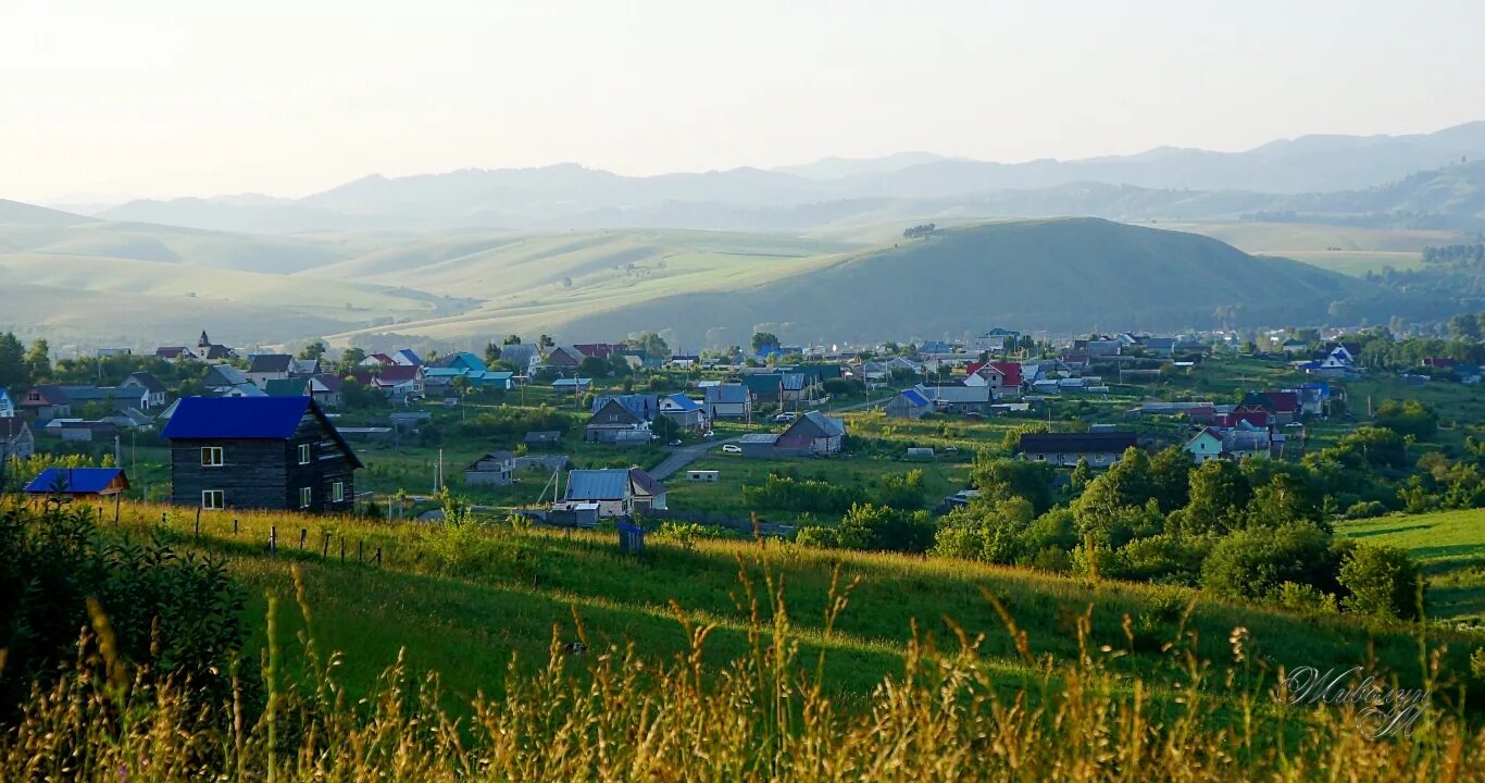 Гисметео алтайский район село алтайское. Село Алтайское Алтайский край. Деревня Алтайка, Алтайский край.. Население села Алтайского края Алтайского района. Село Алтайское Алтайский край население.