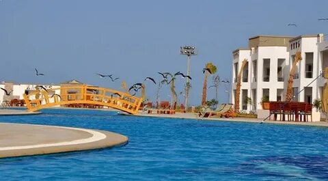 Хургада new park resort египет eagles