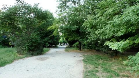 Роща в новороссийске