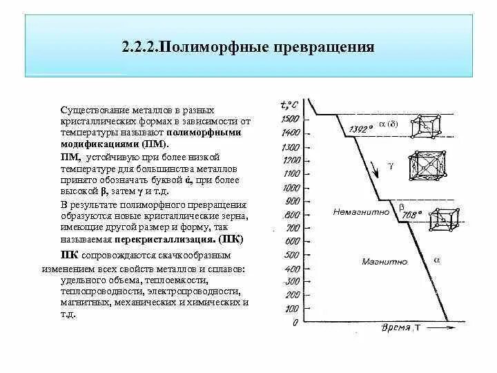 Можно ли назвать человека полиморфным