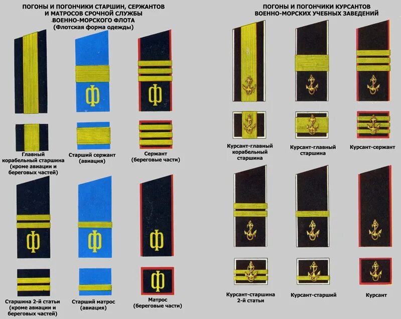 Старший матрос погоны. Погоны курсантов ВМФ РФ. Погоны ВМФ РФ от матроса до Адмирала. Старший сержант погоны ВМФ. Старшина сфпогоны.