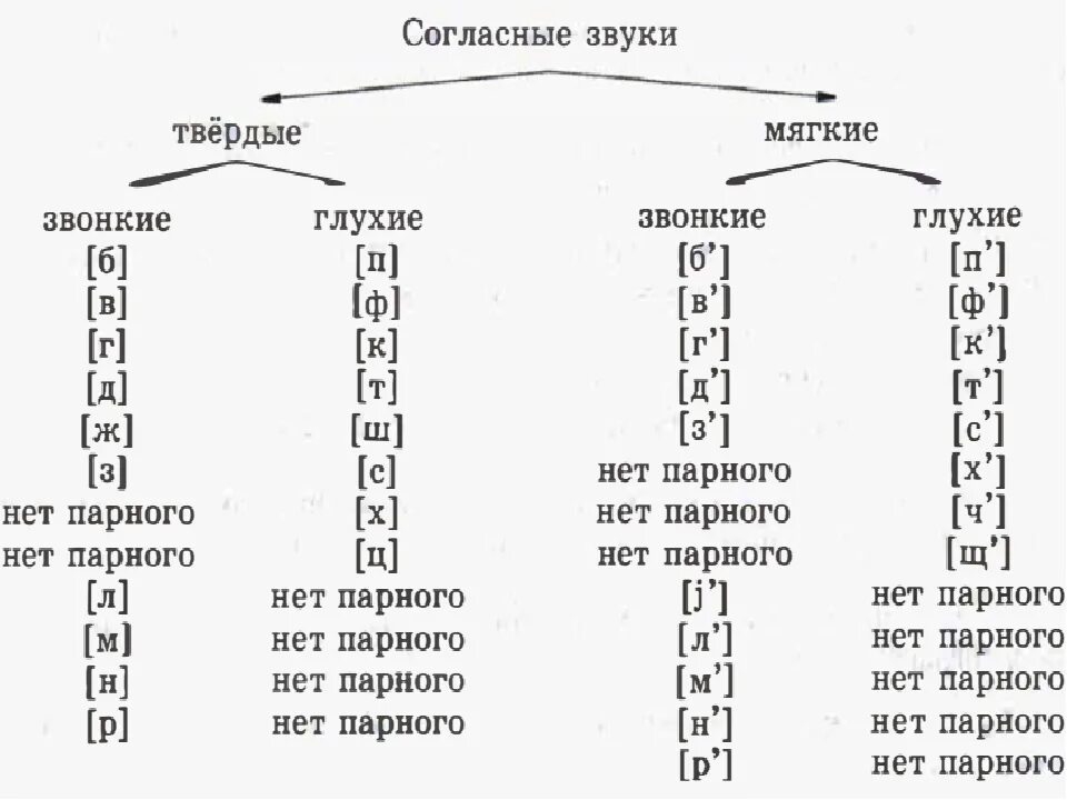 Черный транскрипция. Таблица гласных согласных звонких глухих твердых мягких. Таблица твердых и мягких согласных в русском языке примеры. Буквы согласные глухие Твердые мягкие. Звуки гласные и согласные звонкие и глухие Твердые и мягкие.