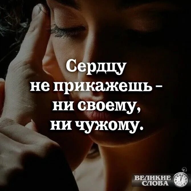 Теперь прикажешь. Сердцу не прикажешь. сердцу не прикажешь ни своему ни чужому. сердцу не прикажешь цитаты. сердцу не прикажешь картинки.