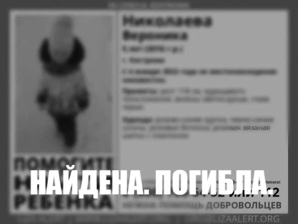 Что с убийцами девочки в костроме. В костроме украли девочку 5 лет.