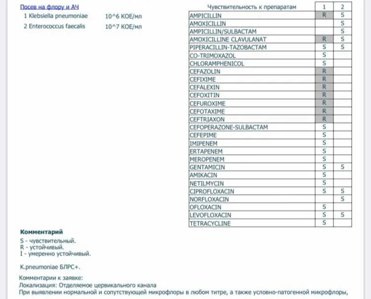Посев мочи результат расшифровка. Расшифровка анализа бак посев мочи на микрофлору. Норма микроорганизмов Klebsiella pneumoniae. Бак посев мочи норма расшифровка анализа мочи. Анализ мочи на микрофлору и чувствительность к антибиотикам норма.