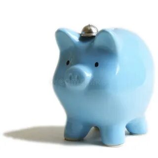 Blue pig