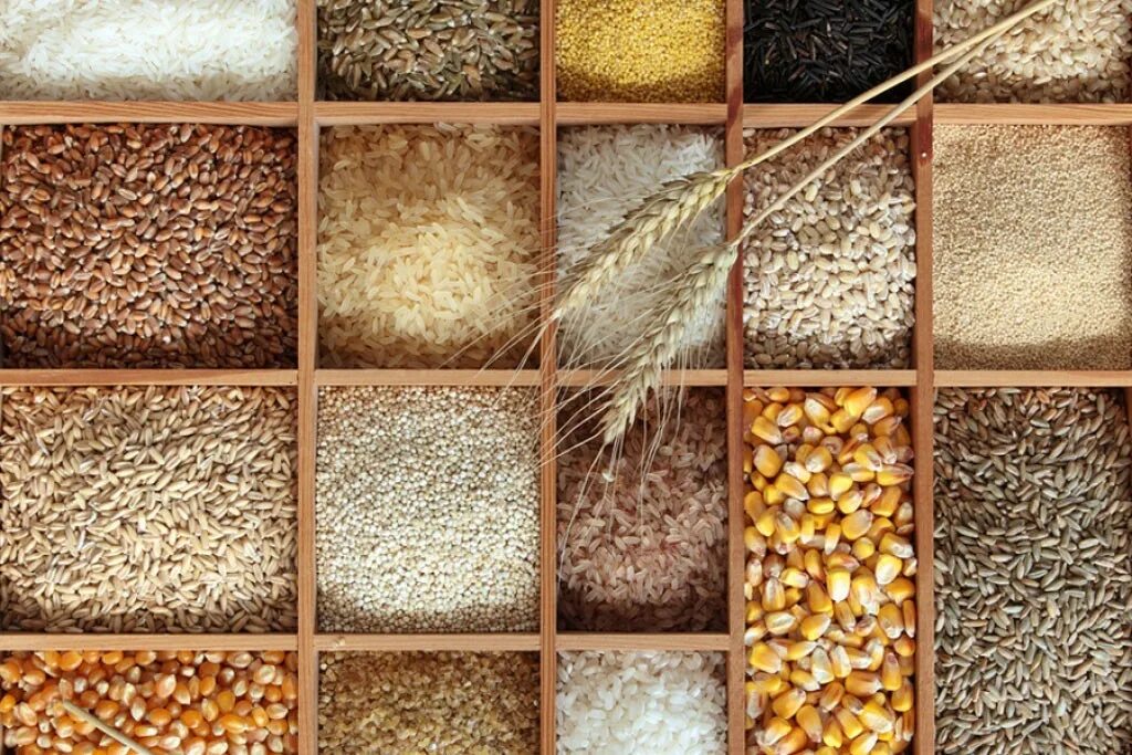 Пшеничная купить оптом. Зерновая продукция. Поставки сельхозпродукции круп. Торговля зерном. Оптовая торговля зерном.