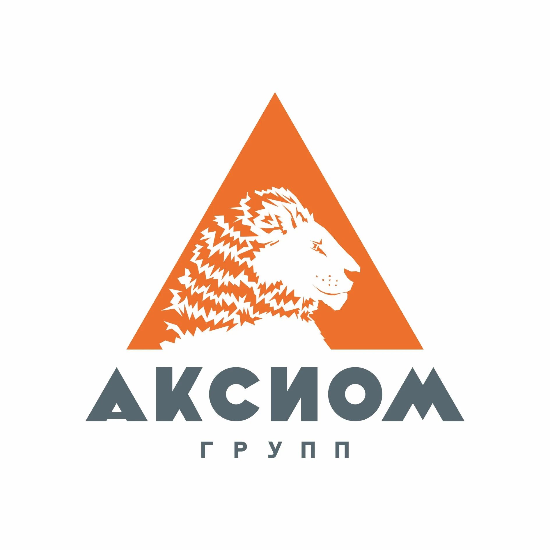 Аксиомы группы. Aksioma Group. ООО Аксиома. Aksioma Group logo.