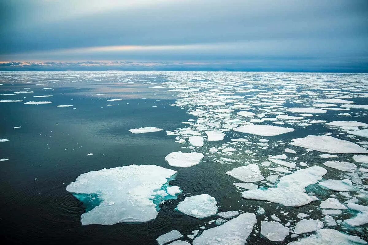 2 северный ледовитый океан. Северный Ледовитый океан Аляска. Белое море Северного Ледовитого океана. Дрейфующие льды в Северном Ледовитом океане. Ледяной Покров Северного Ледовитого океана.