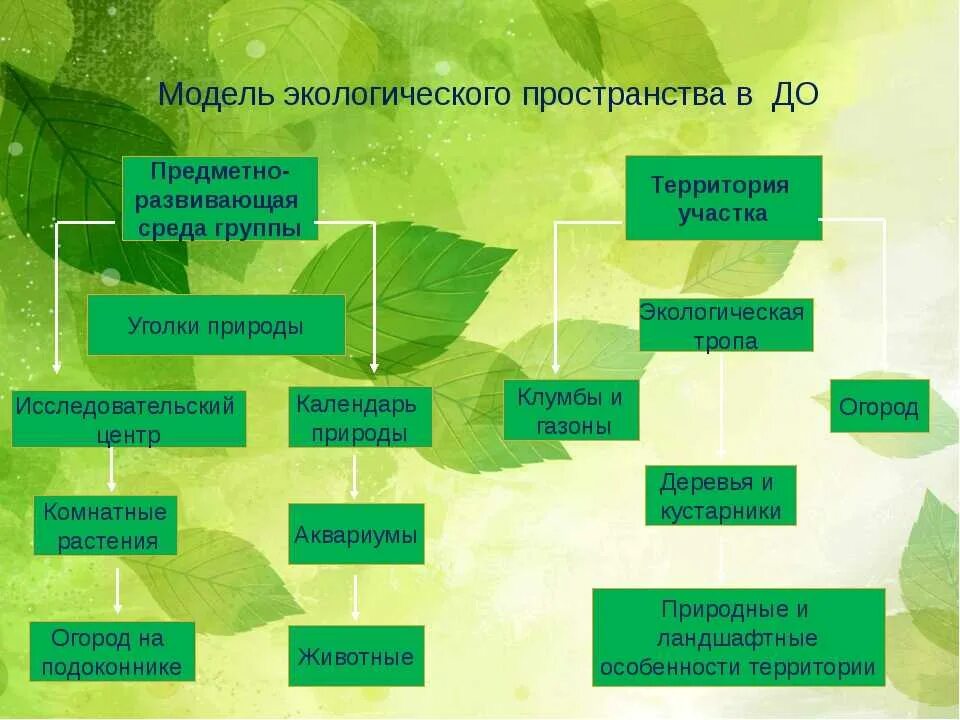 Экологическое воспитание схема. Разделы экологии для дошкольников. Модель экологического воспитания. Экологическое пространство в ДОУ.