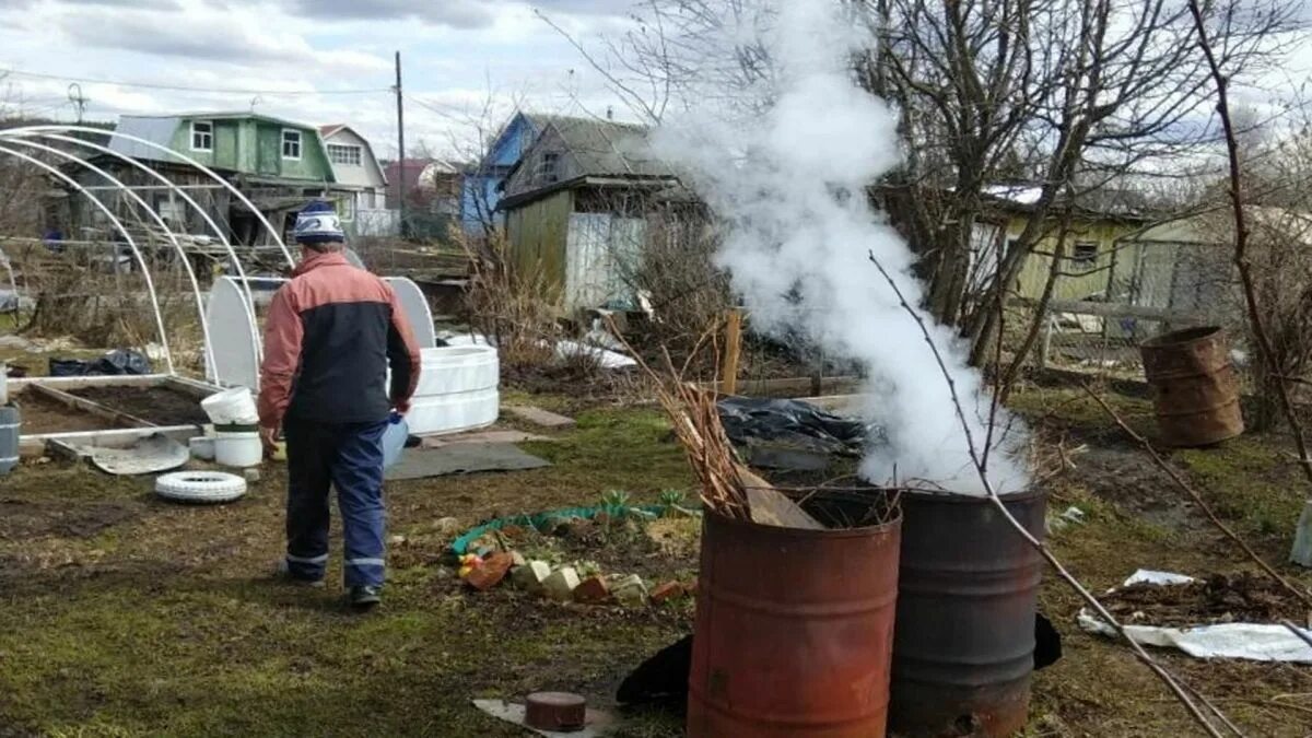 Жечь на участке 2025