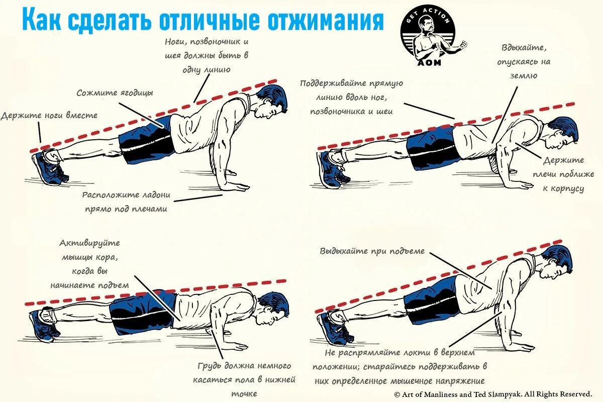 Сколько надо отжиманий. Правильное выполнение отжиманий. Правильная схема отжимания от пола. Как делать отжимания от пола. Отжимания от пола правильная техника выполнения.