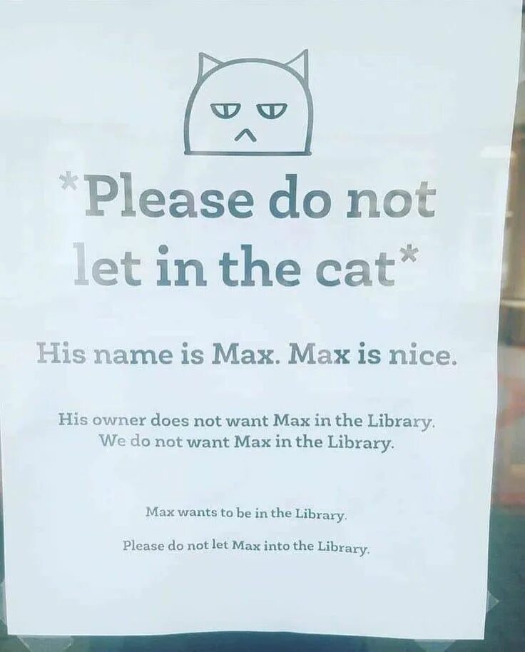 Кот в библиотеке. Max the Cat. Кота зовут Макс. Please do not the Cat. His cat likes