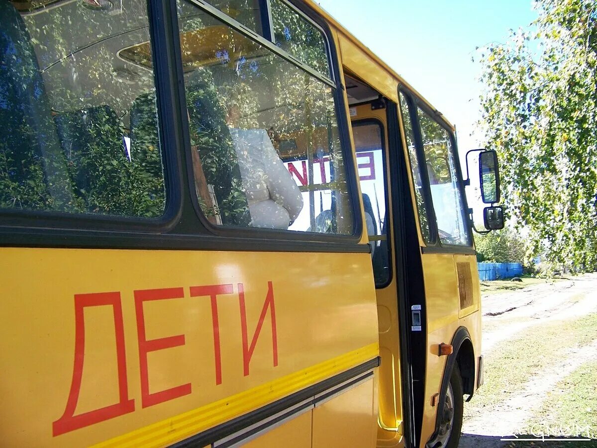Школьный автобус. Водитель школьного автобуса. Автобус для детей. Школьный автобус дети.