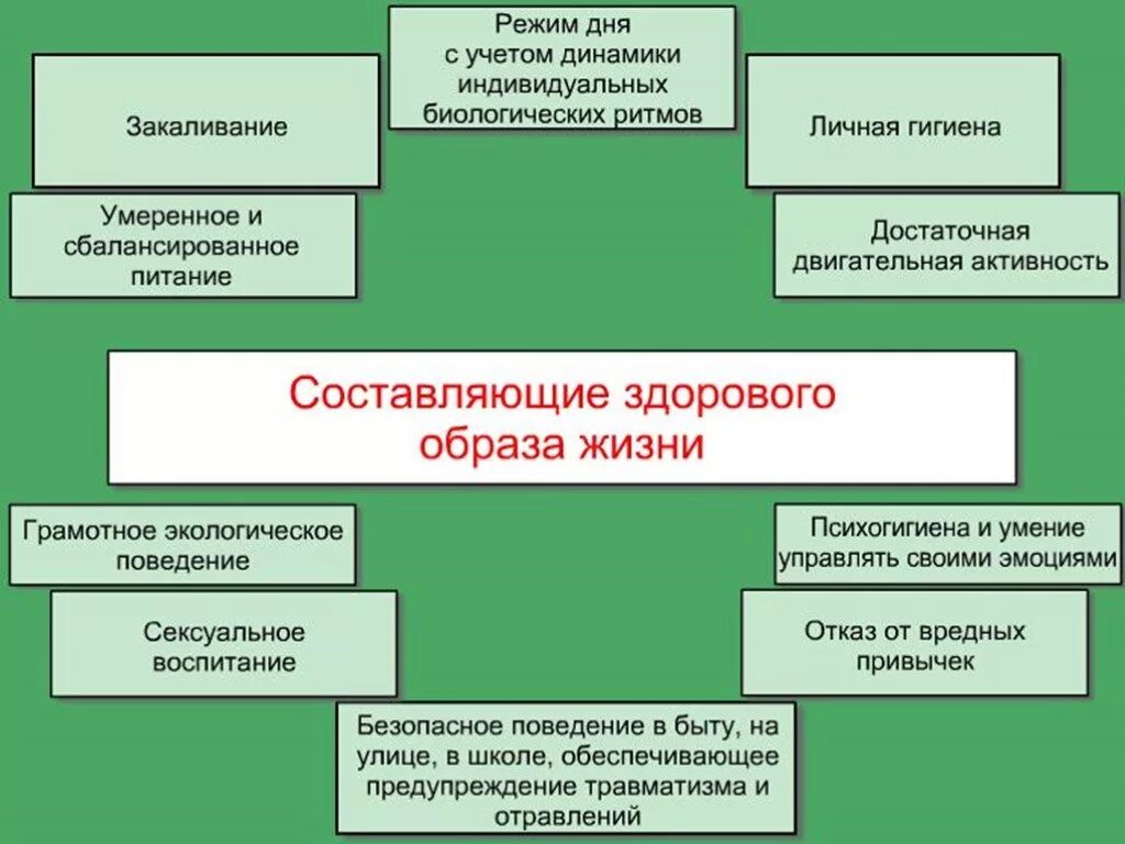 Основы здорового образа жизни. Составляющие здорового образа жизни. Составляющие здорового образа. Основы здорового образа жизни ОБЖ. Основы здорового образа жизни 10 класс