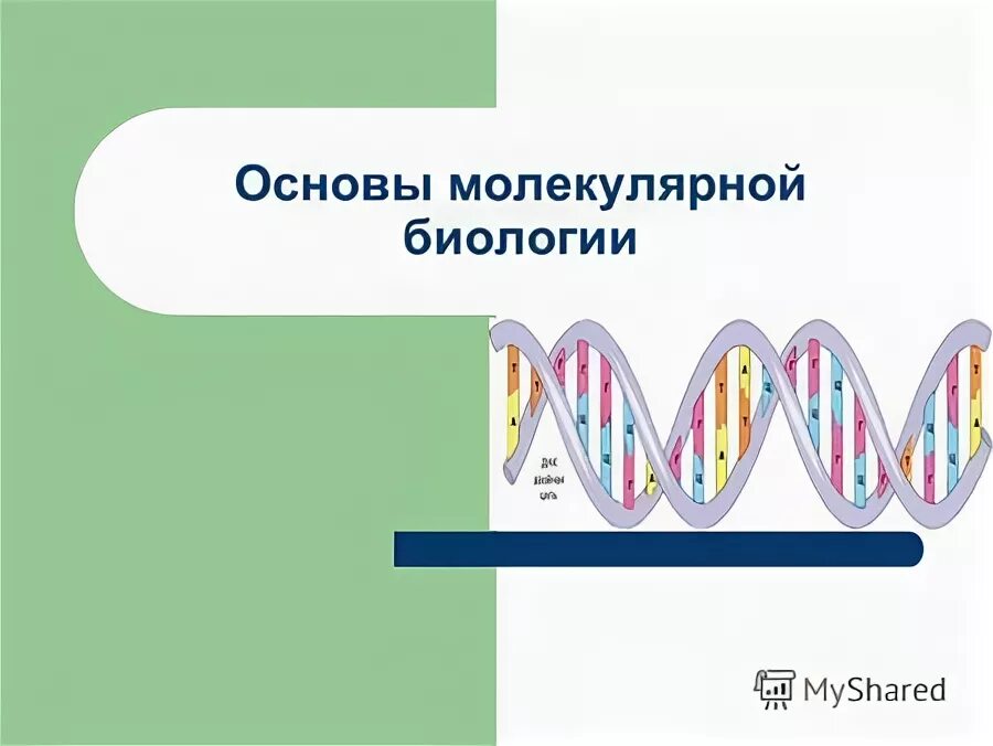 Белки кодирующие днк. 1 молекула белка кодируется. Ген это участок молекулы днк кодирующий. Таблица кодонов и триплетов. 1 молекула белка кодируется.