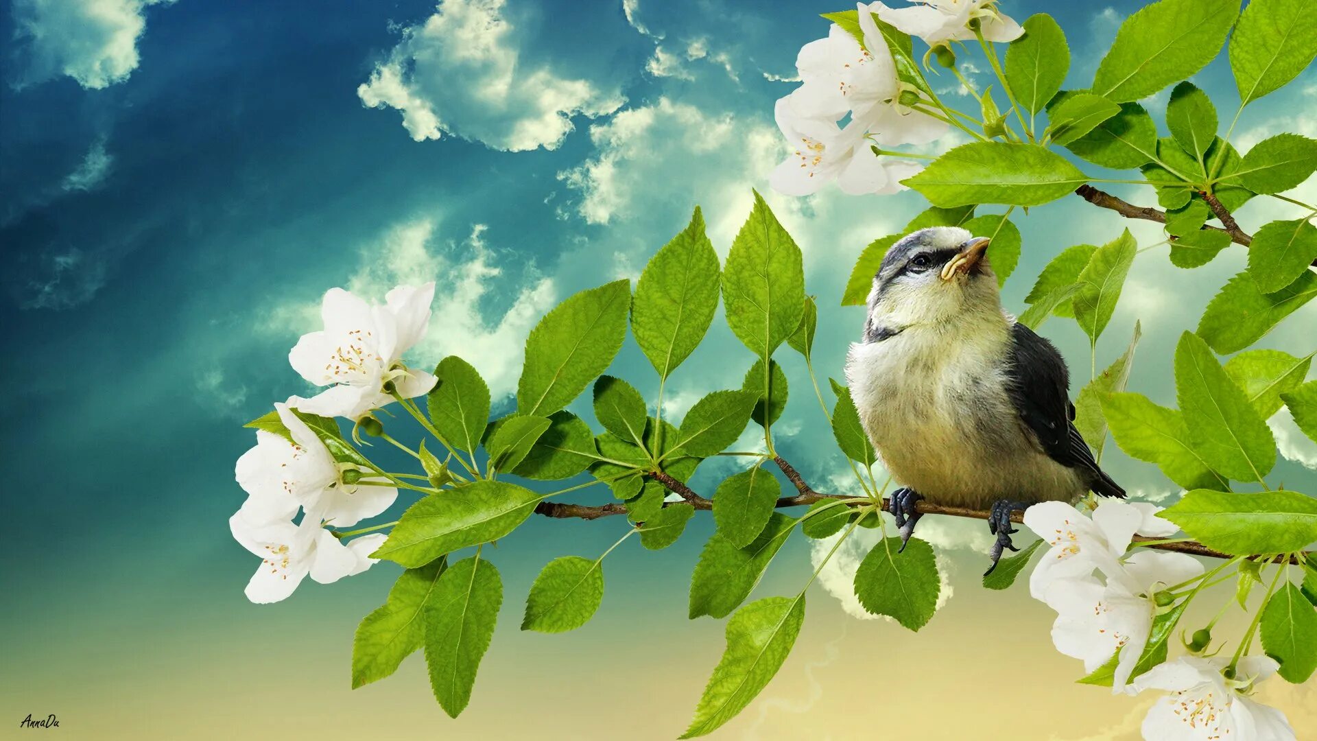 Природа птицы. Утро солнце птицы. Звонкая птичья трель