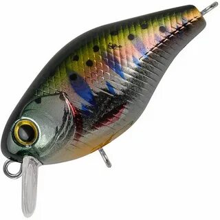 Tsuyoki chef 38f