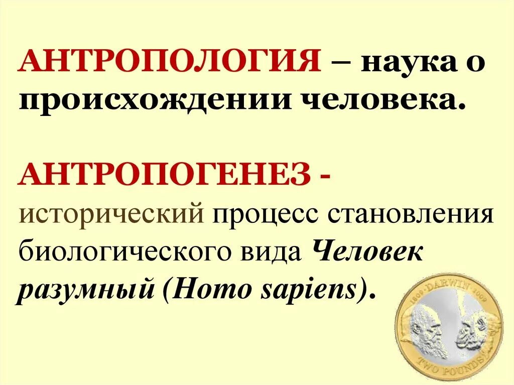 Антропология это наука. Понятие антропология. Антропология определение. Антропология это кратко. Изучает происхождение народа