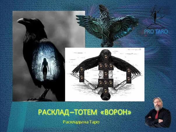 Клички ворон. Тотем ворона. Черный ворон Тотем. Тотем вороны. Расклад ворон.