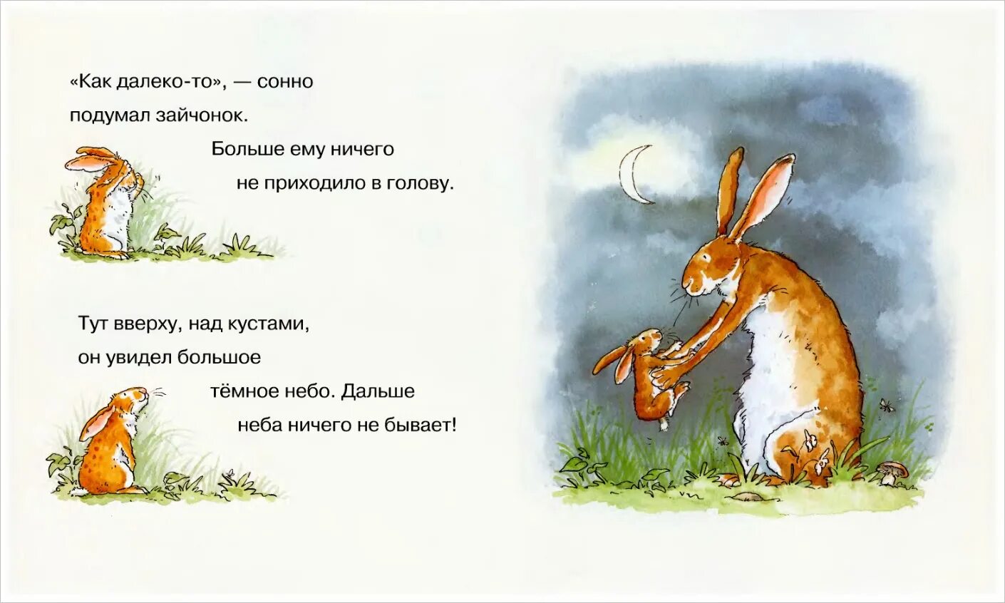 Завести ребенка. Знаешь как я назвала. Знаешь как я назвала. Сэм макбратни маленький зайчонок. Аня демотиватор.