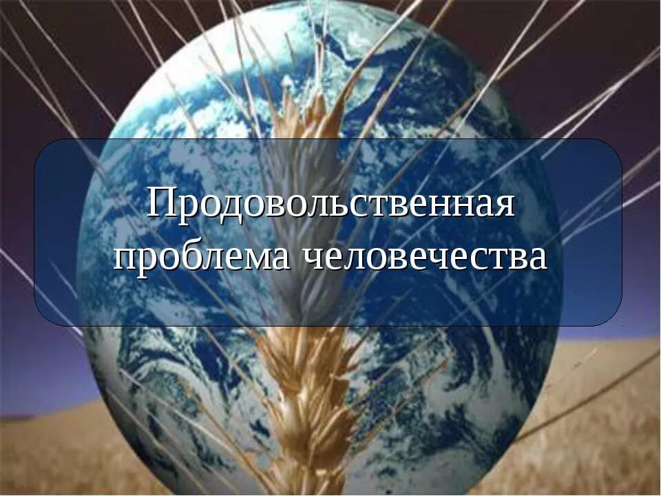 Продовольственная проблема. Продовольственная проблема человечества. Глобальная проблема продовольствия. Глобальные проблемы человечества.