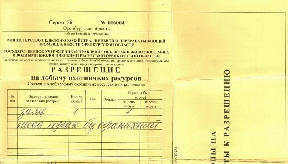 Разрешение минприроды. Разрешение на добычу охотничьих ресурсов. Разрешение на охоту. Разрешение на добычу зайца. Лицензия на добычу охотничьих ресурсов.