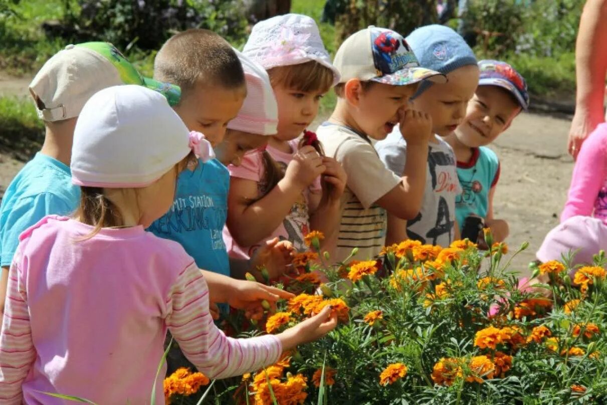 Работают ли сады летом. Наблюдение за природой в детском саду летом. Наблюдение на прогулке летом. Летняя прогулка в детском саду. Наблюдение на прогулке в детском саду летом.