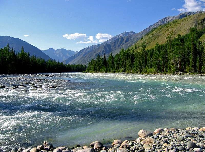 Самая большая река казахстана. Река Коксу Казахстан. Горные реки Казахстана. Казахстан Алматинская речка. Водные ресурсы Катунь.