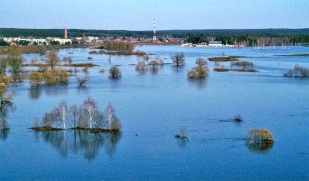 Жиздра Мехзавод. Калитва Миронова гора половодье.