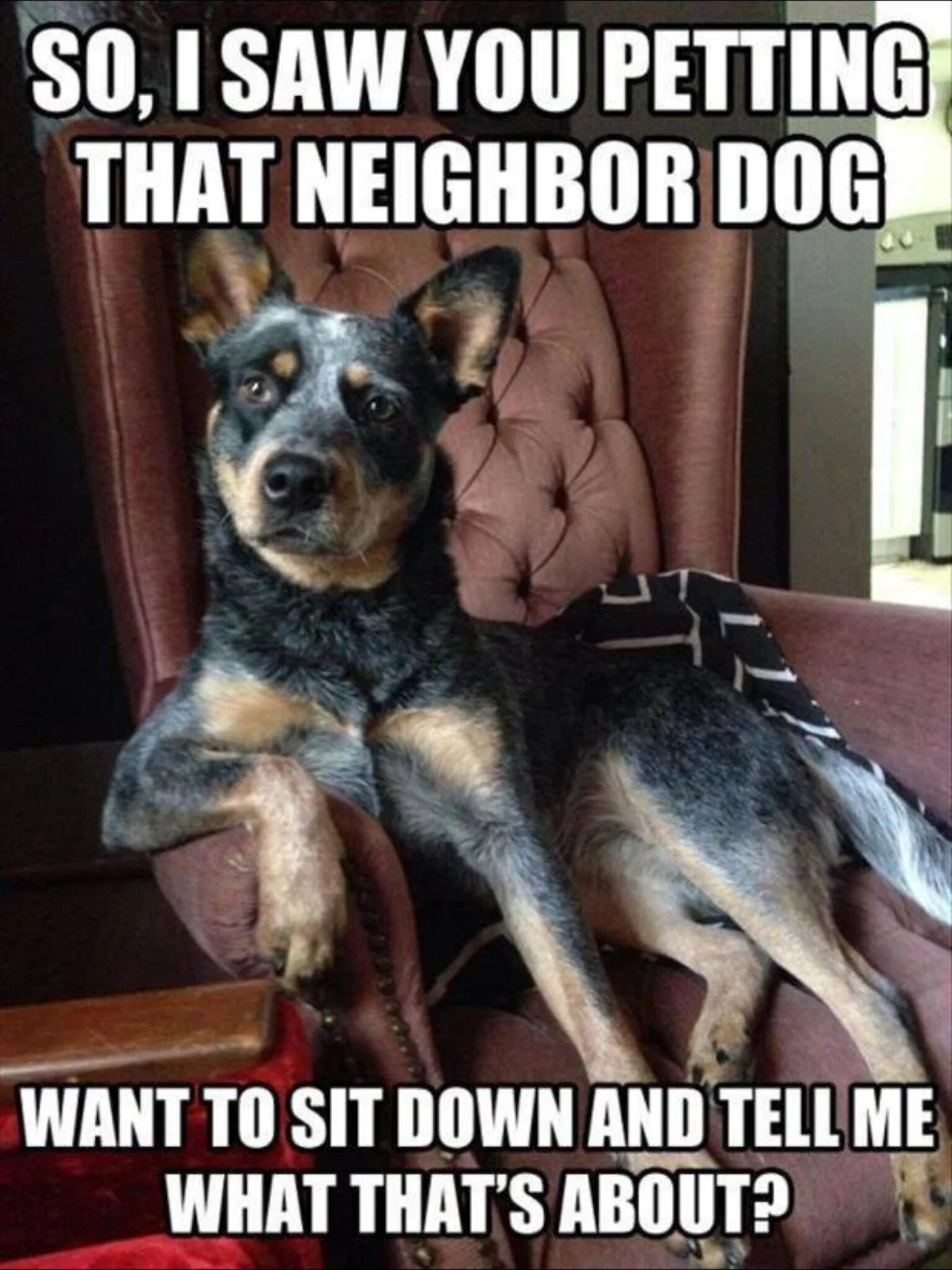 Thats not my neighbour русификатор. Pet-Pet Мем. Funny Dog meme. I want to be your Dog. Pet the Dog meme.