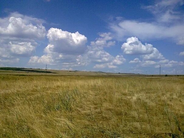 Пензено Самарская область Большечерниговский район. Степи Самарской области. Природа Большечерниговского района Самарской области. Памятники село Украинка Большо Черниговский район. Погода петровский большечерниговский район