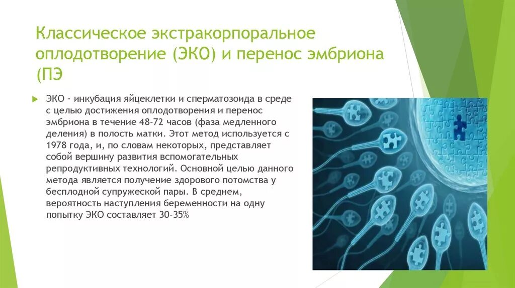 Процесс за которым следует оплодотворение. Эко оплодотворение. Эко экстракорпоральное оплодотворение. Эко это искусственное оплодотворение. Экстракорпорального оплодотворения (эко).