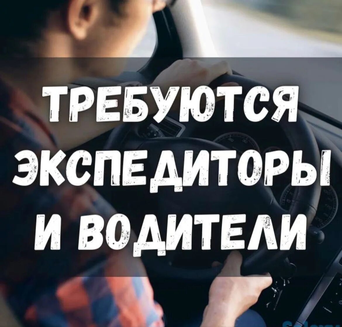 Водитель экспедитор фото. Требуется водитель категории д. Объявление требуется водитель. Требуется водитель фото. Требуются b водители b.