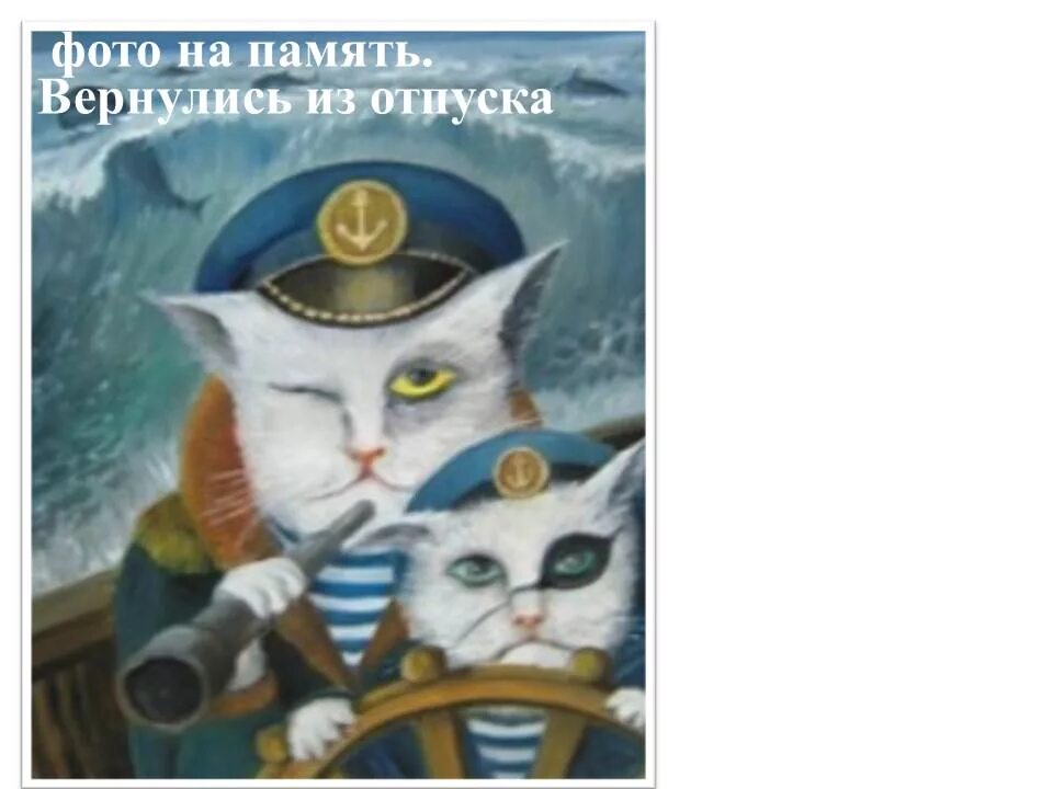 Стихи юнны мориц для детей кот мореход. Кот кот мореход он. Кот мореход. Стихи о мореходах. Афиша санкт-петербург.