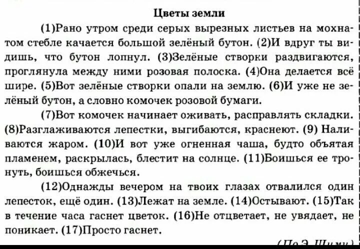 Сочинение рассуждение на тему что такое смекалка. Сочинение 5 класс по русскому языку. сочинение о русском языке 5 класс. текст из 5 предложений. сочинение 5 класс.