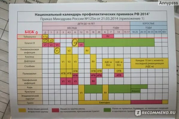 График прививок до 3 лет Вакцинация для взрослых. Как и зачем