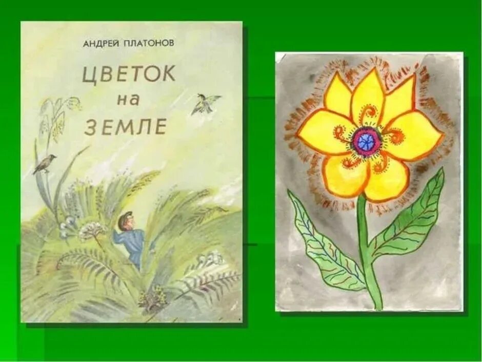 О чем произведение неизвестный цветок. Цветок на земле Платонов иллюстрации к рассказу.